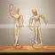 Wholesale toy and home decoration wooden male mannequin