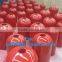 Oil Cementing Tools Float Shoes API Float Shoes Float Collar