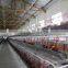 High quality cheap poultry cage layer chicken cage with factory price