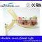 Hemi Mandible Anatomical Model Dental Eduction Assitant No. DEA-18