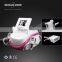 Body Sculpting Machine with kryolipolysis Technology / LM-S600I / Salon Beauty Equipment