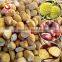 IQF Chestnuts Frozen Chestnut Kernel for sale