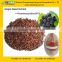 Professional Factory Provide Natural Grape Seed Extract 95%, 98% Procyanidine