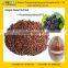 GMP Manufacturer Supply Natural 95%,98% Grape Seed Proanthocyanidin