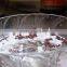 Azeus floating fish feed making machine