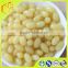 high quality royal jelly freeze dried powder 10-hda 5.0 health supplement