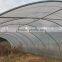commercial greenhouse for agriculture