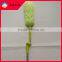 Multi-angle Adjustment Microfiber Duster/Air Duster For Home For Car