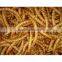 Pure natural wholesale chicken feed dried mealworms // bird feed mealworms