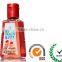 Antibacterial and new design hand wash for ladies