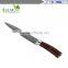 5pcs Japanese Damascus Steel 8 inch Chef knife Best Quality Japanese VG10 Super Steel 67 Layer High Carbon Stainless Steel-Raz
