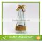 Nice design and decorative factory direct sale ecofriend reed diffuser glass bottle