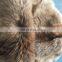 High quality real coyote fur wholesale natural coyote fur
