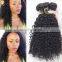 Wholesale Beauty Supply Distributors Raw Unprocessed Malaysian Curly Hair Extension Human