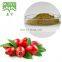 TOP SALE! Rosehip Fruit Extract Powder 5:1 10:1 20:1