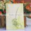 Ideal Products 2016 Omani Cheap Green Ribbon Wedding Cards