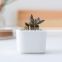 Home Decorative Garden Flowerpot Flower Pots Mini Cheap Ceramic Wholesale Modern Simple Style White Plants Planting Desktop