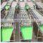 Automatic Orange Lemon Mango Kiwi Blueberry fruit and vegetables grading machine