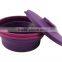 100% Pure FDA LFGB Silicone Pet Food Storage Containers