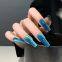 GS Glass Cat eye Gel