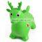 Inflatable Toy