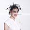 Fascinators And Bases With Feather And Veil