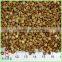 Common Cultivation Type Brown Color roasted buckwheat wholesale