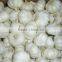 chinese black garlic