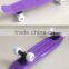 Mini plastic skateboard for kids