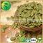 Chinese Hot Shine Skin Pumpkin Kernels Best Products for Import