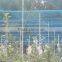 100% PP high tensile Plastic anti bird net/plant protection net