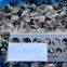 2016 frozen mushroom and frozen fresh oyster mushroom
