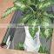 Black and silver plastic agricultural mulching film