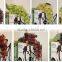2015 Wholesale Decorative Artificial Grape
