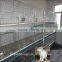 professional designed automatic rabbit hutch double rabbit cages for sale