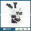 High Reliable and Best Quality of FEITA FSM45T1 Microscopes /Stereo Microscope