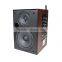 WSD02 2.4GHz Wireless Speaker for Classroom , Church , Conference