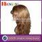  China 100% Human Lace Front Wig
