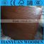 Hot sale container truck flooring plywood