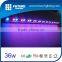 Outdoor garden buildings strip rgb color changing 3in1 12 pcs 36W IP65 LED Wall Washer