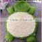 Best selling High quality Customize Sofe Comfortable baby toys Plush cushion