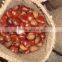 fresh chinese chestnuts for sale