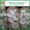 2016 Crop the Fresh Dry Garlic
