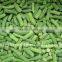 CHINA IQF green bean cut