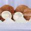 Desiccated coconut - High fat fine grade