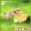 2017bulk Chinese organic fresh ginger with Eu organic certificate