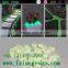 glow paving stone/glow in the dark garden ornament/glow pebbles