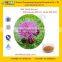 GMP Factory supply Water Soluble Milk Thistle Extract
