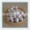 Organic garlic seed bulbs, a bulb of red garlic, fresh garlic seed