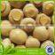 canned whole mushroom 314ml can mushroom